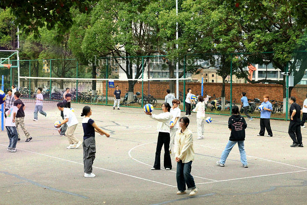 历史数据对比折线图表，突出变化趋势
